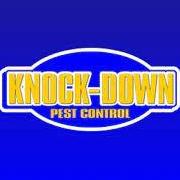 knockdownpestcontrol123