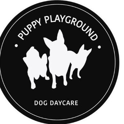 puppyplaygroundsydney
