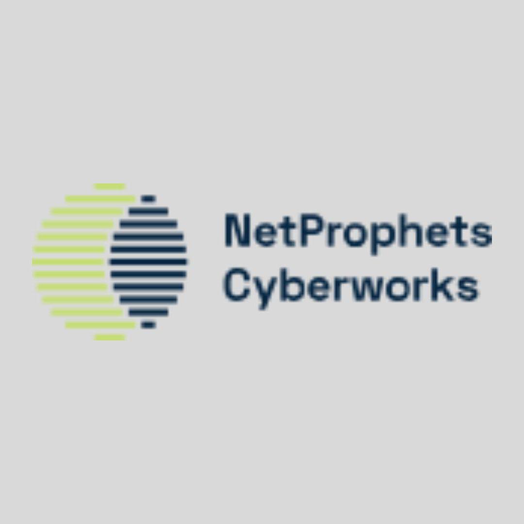 netprophetscyberworks