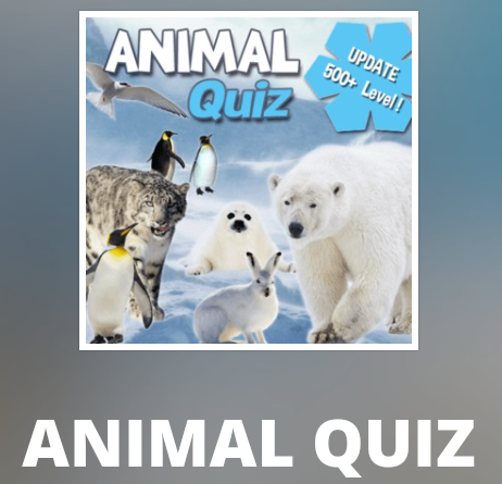 Animal Quiz