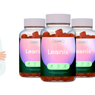 Leanixprice