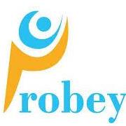 probey12