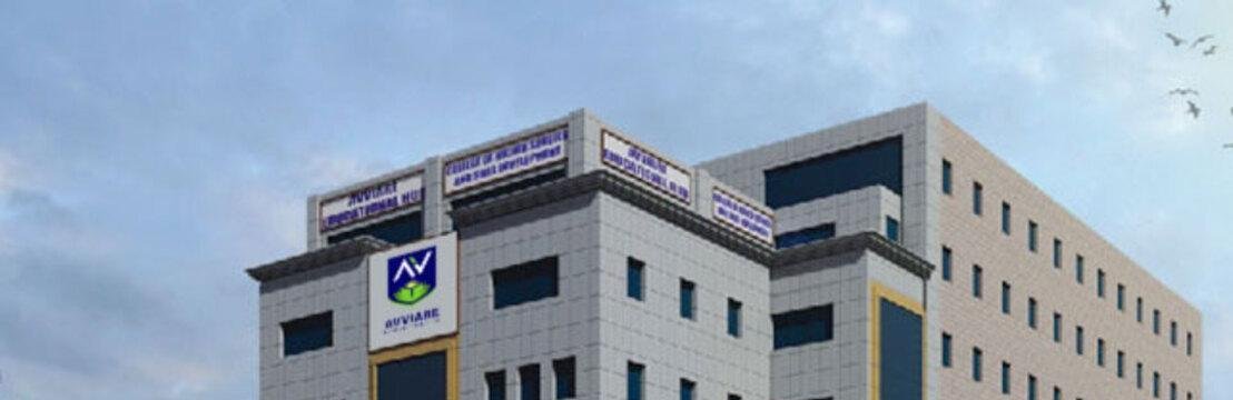 avviareeducationhub