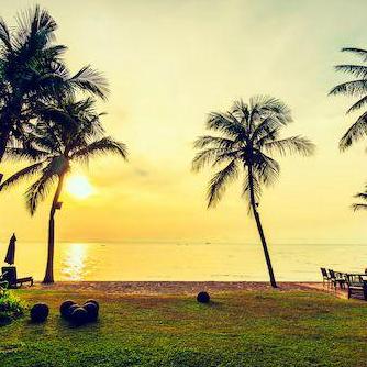 Buylandingoa