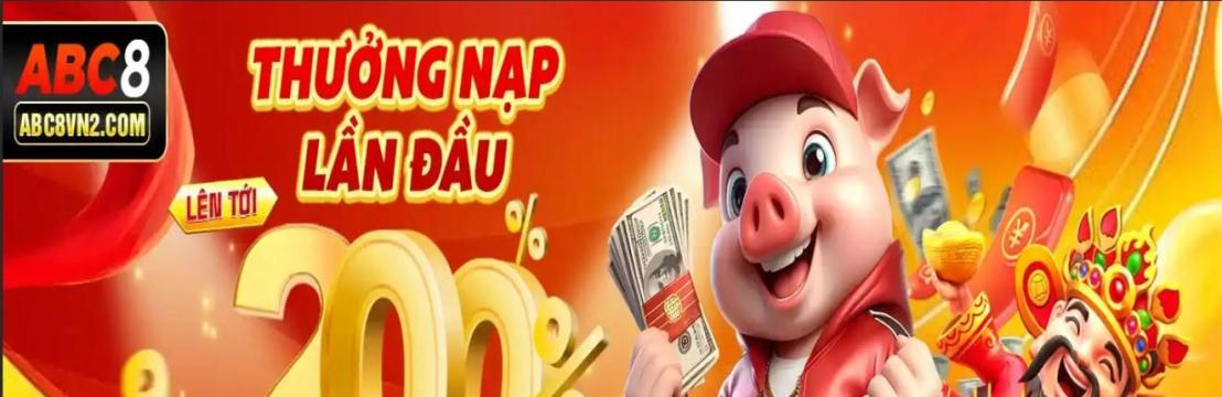 abc8vn2