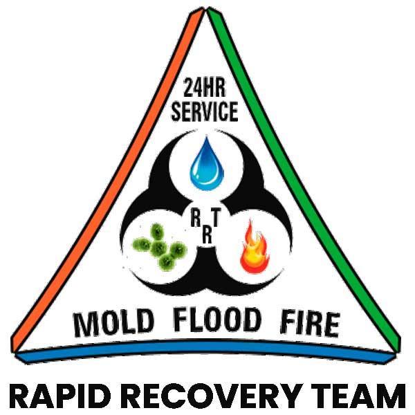 Rapid Team Orlando