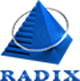 Logo of Radixweb – An IT Software and App Development Company