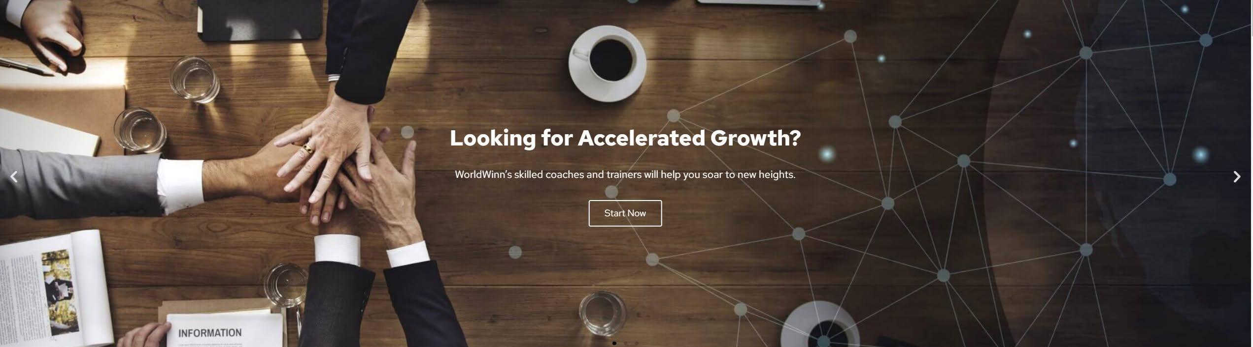 WorldWinn  Consulting