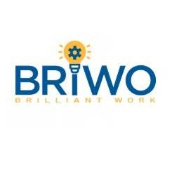 Briwo Solutions