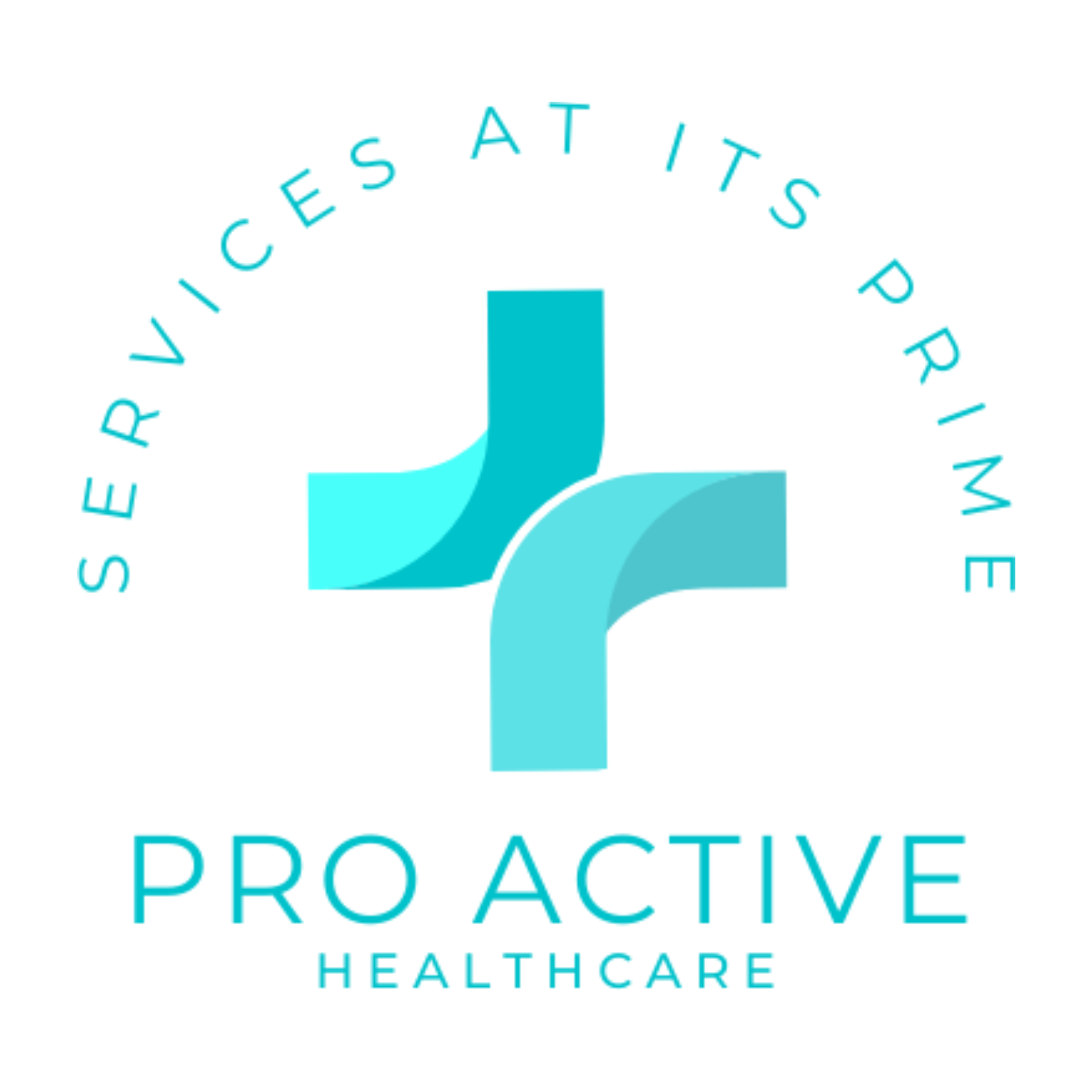 Proactive21 Services