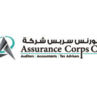 Assurance Auditor