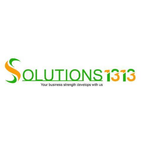 Solutions 1313