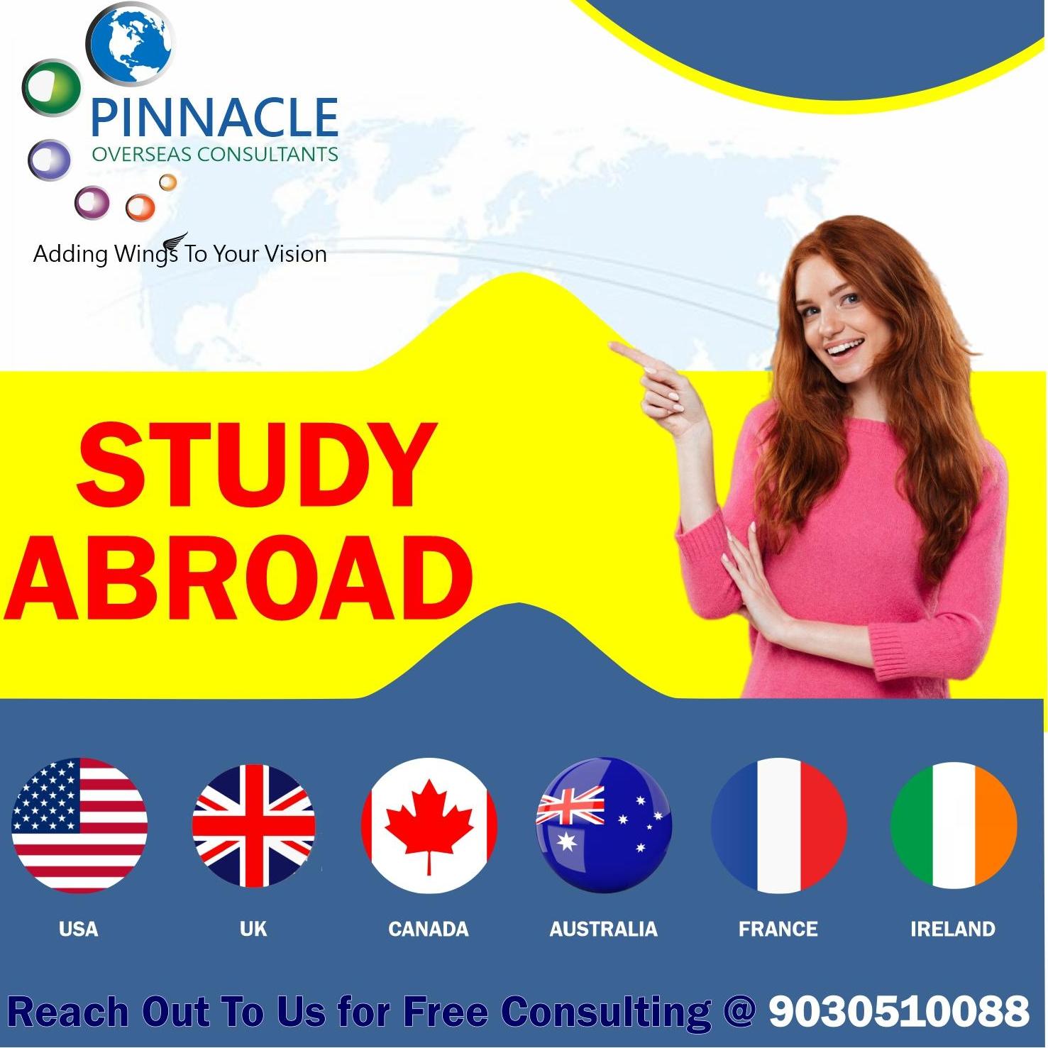Pinnacle Consultants