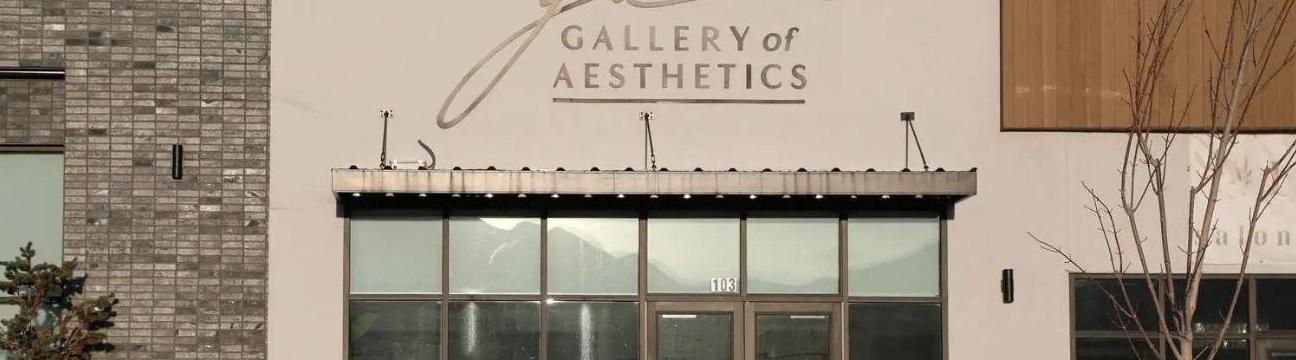 Gallery Of Aesthetics 