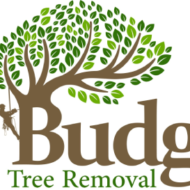 Budget Tree Removal