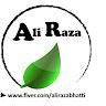 Ali Raza Bhatti