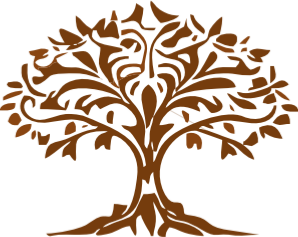 Durjaya Herbals