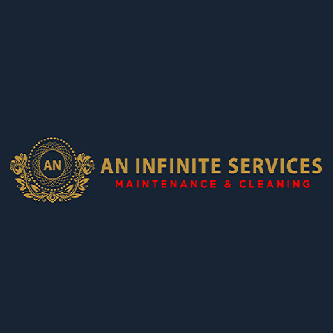 AN Infinite  Services LLC