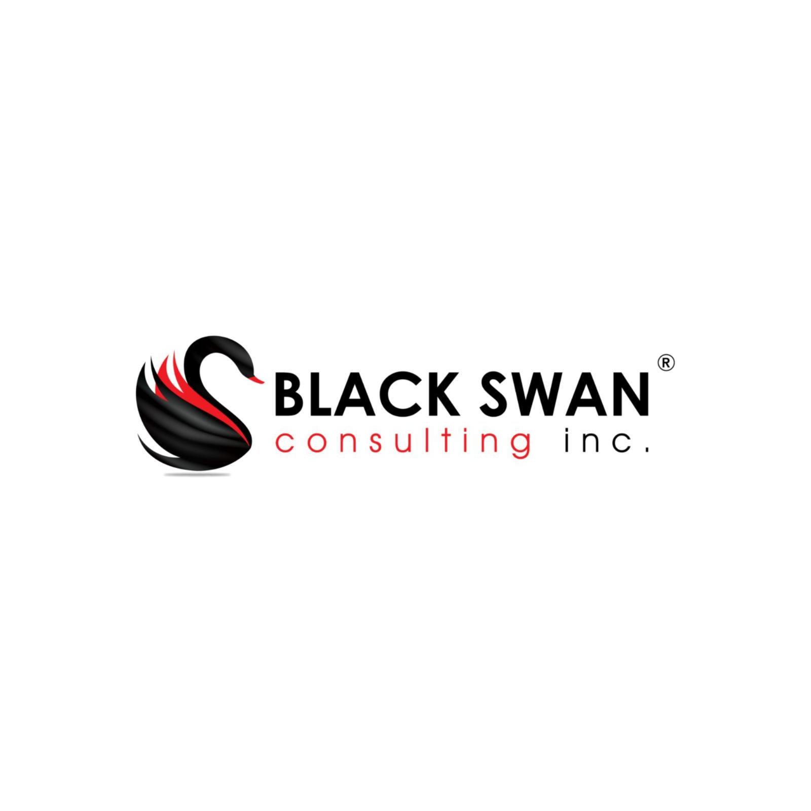Black Swan  Consulting 