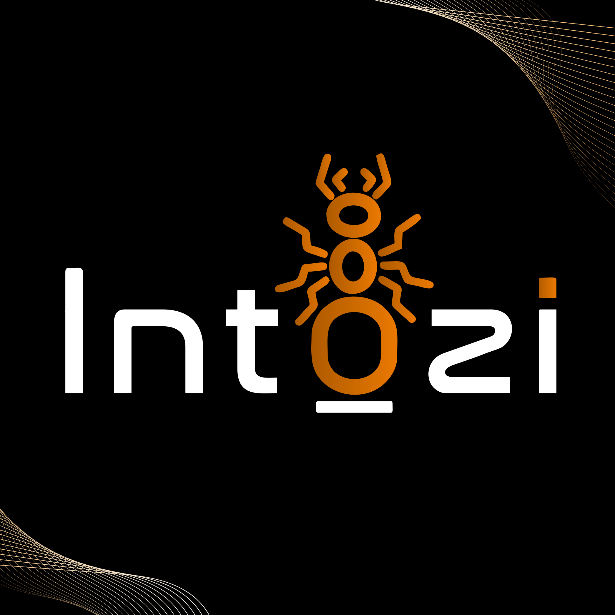 Intozi Tech Pvt Ltd