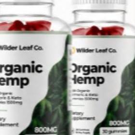 Wilderleaf Ingredients