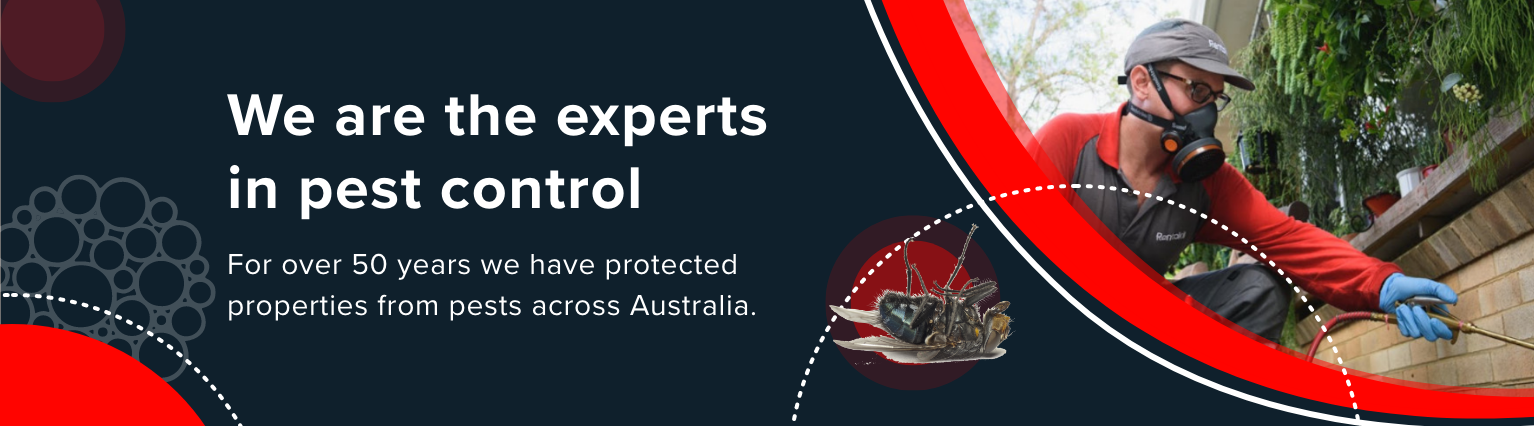 Rentokil Australia