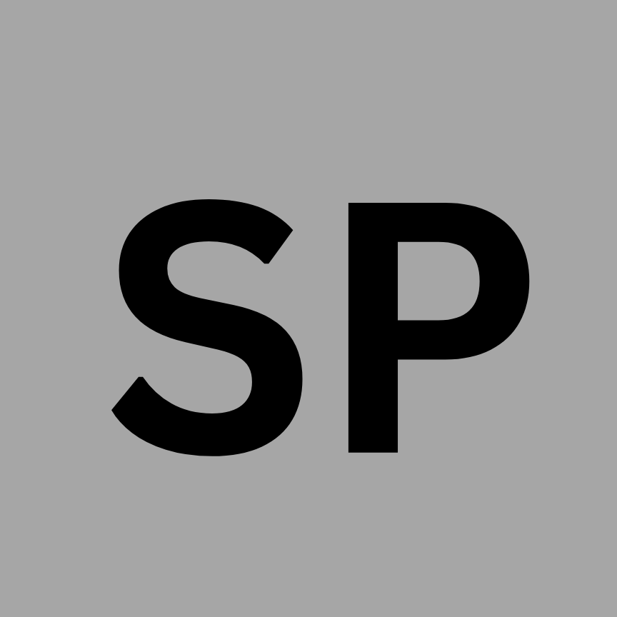 SEO Professional